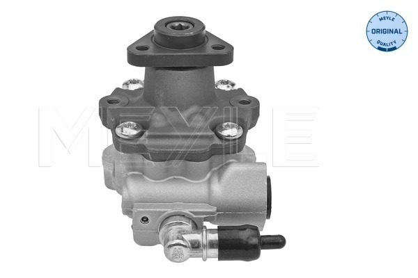 Hydraulic Pump, steering system - 114 631 0048 MEYLE