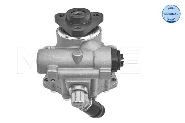 Hydraulic Pump, steering system - 114 631 0051 MEYLE