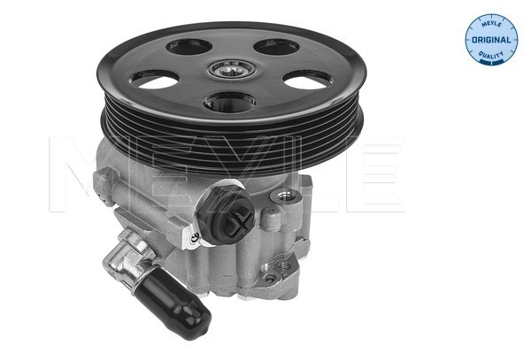 Hydraulic Pump, steering system - 114 631 0052 MEYLE