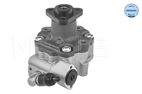 Hydraulic Pump, steering system - 114 631 0055 MEYLE