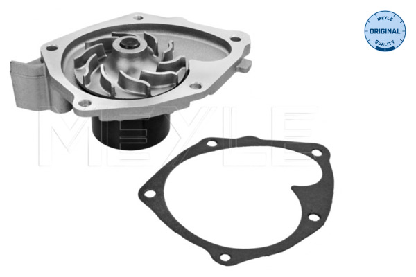 Water Pump - 16-13 220 0011 MEYLE