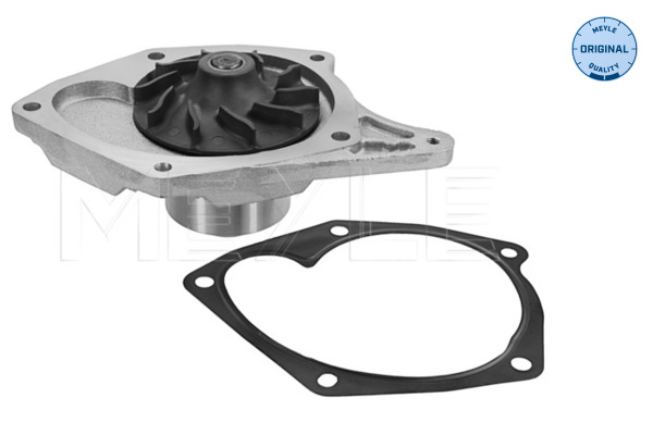 Water Pump - 16-13 220 0015 MEYLE