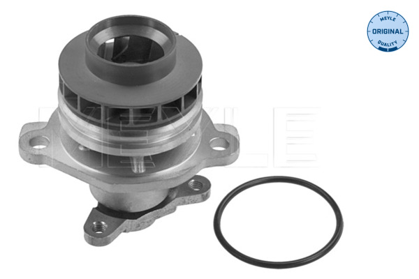 Water Pump - 16-13 220 0020 MEYLE