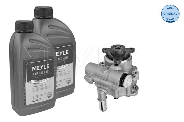 Hydraulic Pump, steering system - 16-14 631 0001/S MEYLE