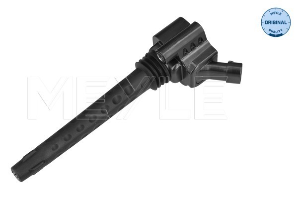 ritė, uždegimas - 214 885 0023 MEYLE