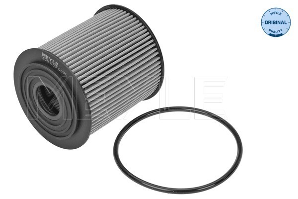 Oil Filter - 300 000 0001 MEYLE
