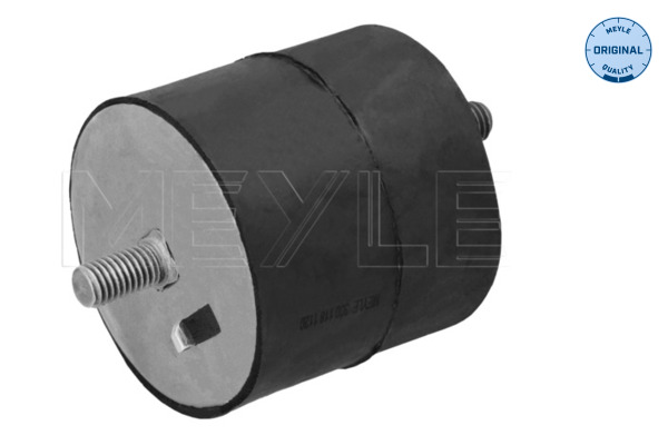 Engine Mounting - 300 118 1120 MEYLE