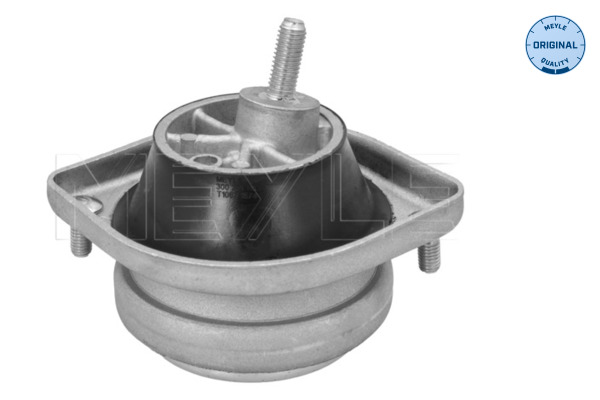 Sospensione, Motore - 300 221 1103 MEYLE