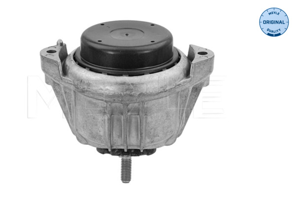 Engine Mounting - 300 221 1114 MEYLE