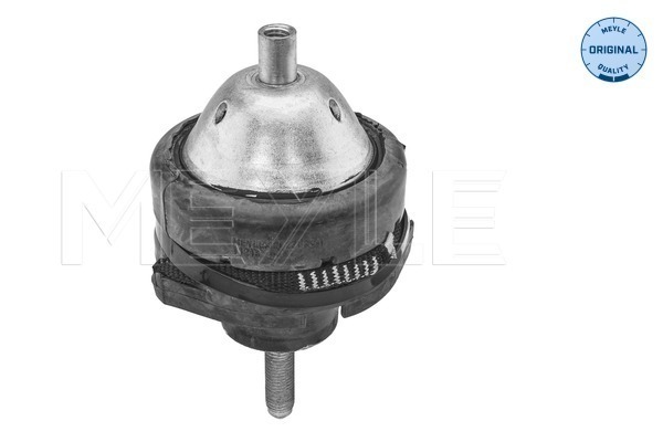 Sospensione, Motore - 300 221 2011 MEYLE