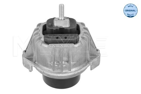 Sospensione, Motore - 300 221 2117 MEYLE