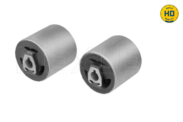 Suspension Kit - 300 311 2909/HD MEYLE