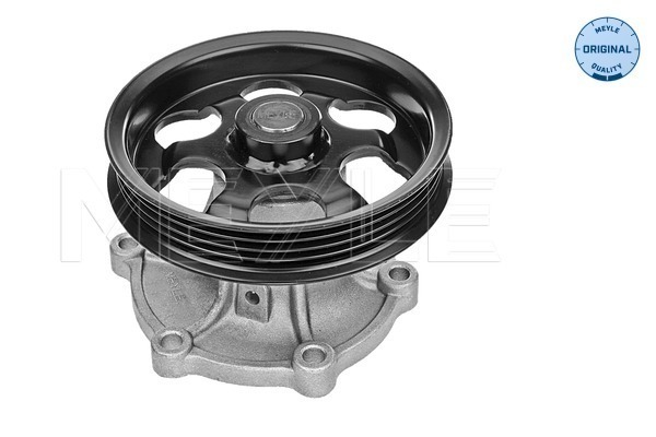 Water Pump - 30-13 161 0010 MEYLE