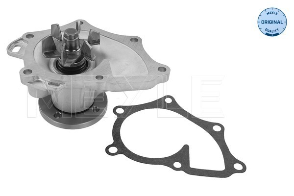 Water Pump - 30-13 220 0013 MEYLE