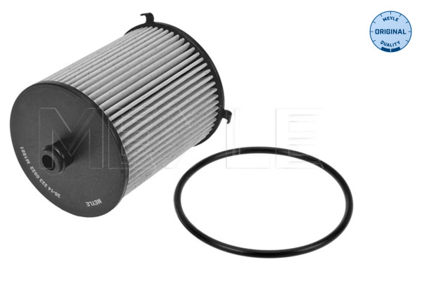 Fuel filter - 30-14 323 0022 MEYLE
