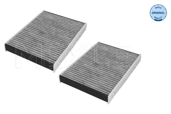 Filtro, Aria abitacolo - 312 320 0029/S MEYLE