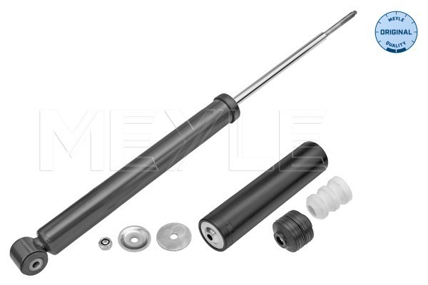 Shock Absorber - 31-26 725 0009 MEYLE