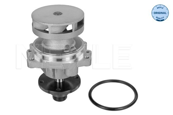 Water Pump - 313 011 3800 MEYLE