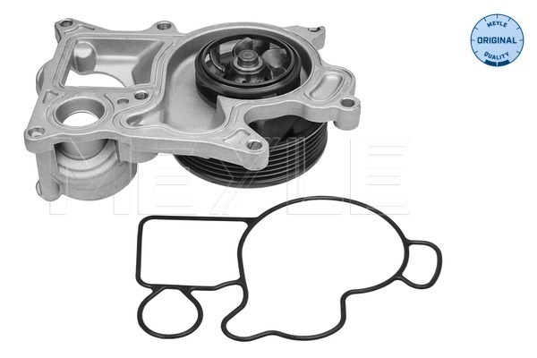 Water Pump - 313 220 0019 MEYLE