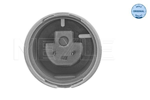 Sensor, wheel speed - 314 899 0096 MEYLE
