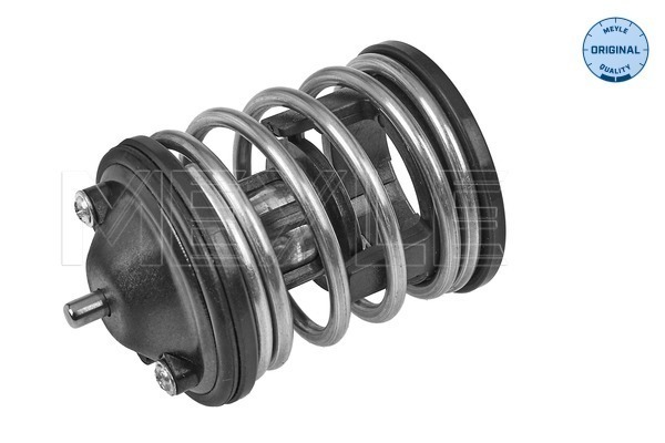 Termostato, Refrigerante - 328 228 0010 MEYLE
