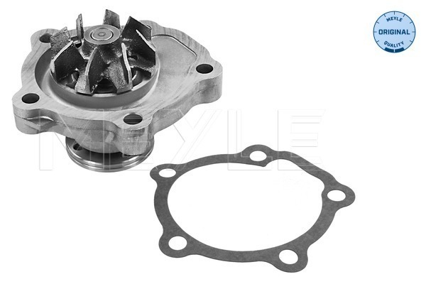 Water Pump - 33-13 220 0004 MEYLE