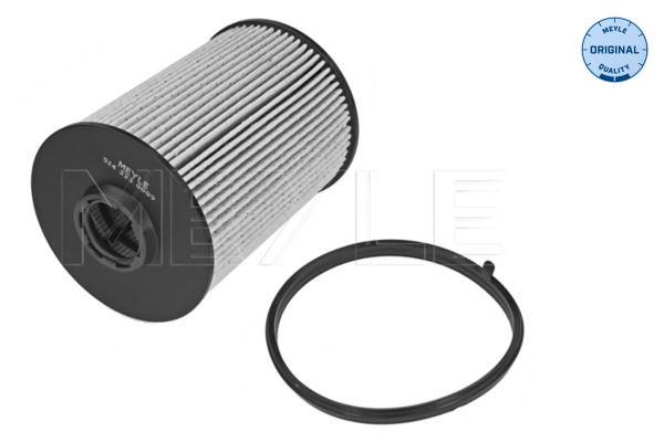 kuro filtras - 514 323 0009 MEYLE