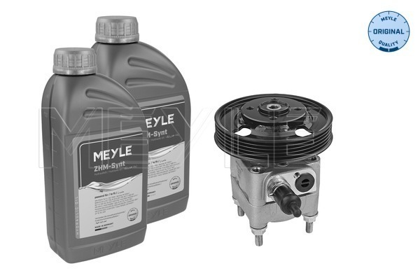 Hydraulic Pump, steering system - 514 631 0021/S MEYLE