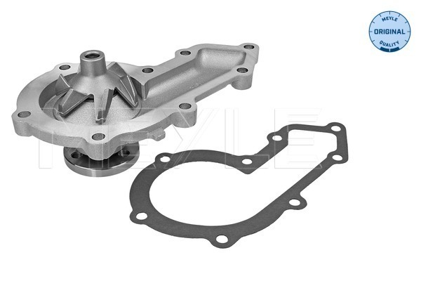 Water Pump - 53-13 220 0001 MEYLE