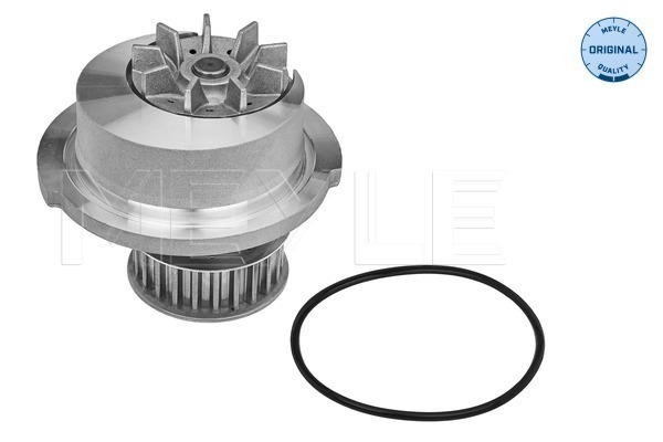 Water Pump - 613 600 4046 MEYLE