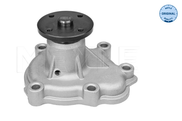 Water Pump - 613 600 4115 MEYLE