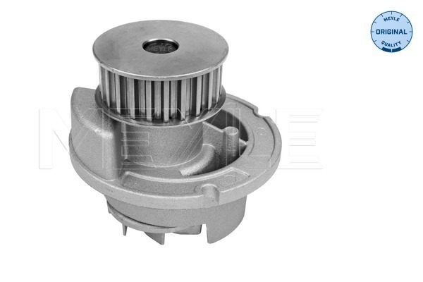 Water Pump - 613 600 4135 MEYLE