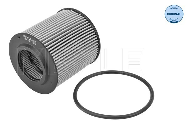 Filtro olio - 714 322 0019 MEYLE