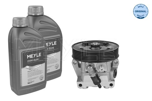Pompa idraulica, Sterzo - 714 631 0025/S MEYLE