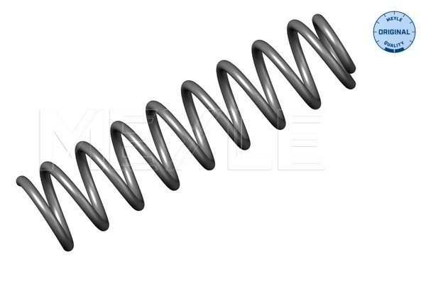 Molla autotelaio - 014 639 0002 MEYLE