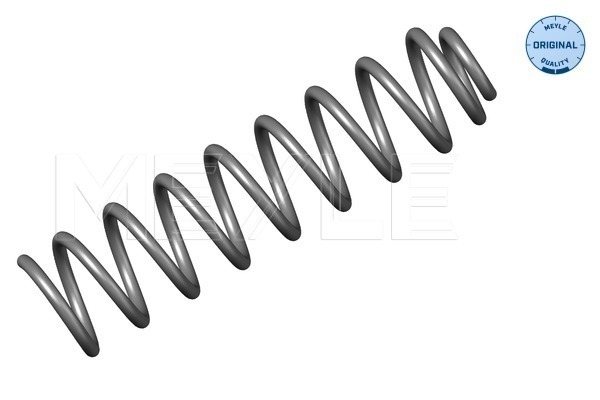 Molla autotelaio - 014 639 0005 MEYLE