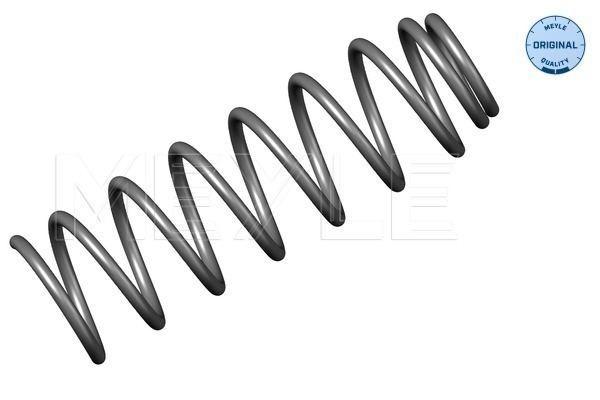 Coil Spring - 100 051 0002 MEYLE