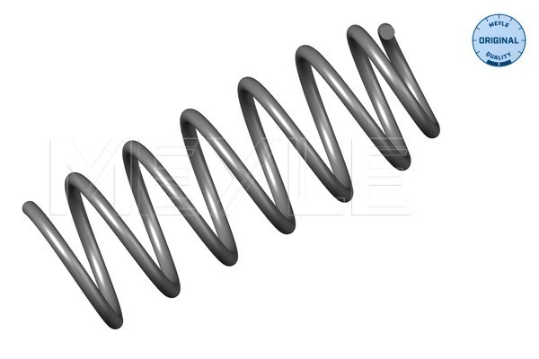Coil Spring - 100 639 0016 MEYLE