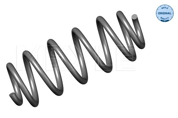 Coil Spring - 100 639 0028 MEYLE
