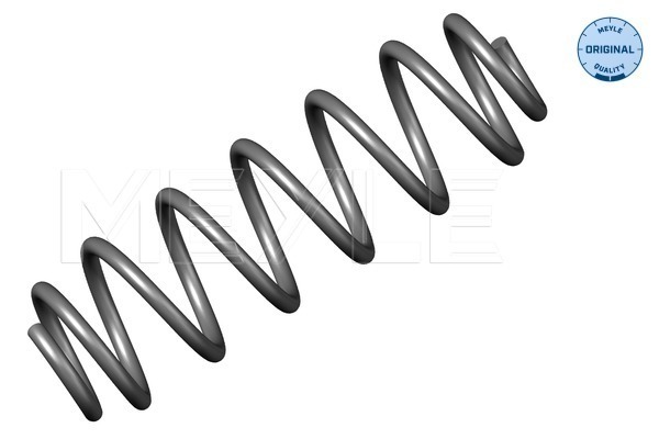 Coil Spring - 100 739 0006 MEYLE