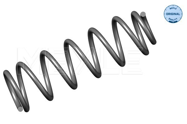Coil Spring - 100 739 0007 MEYLE