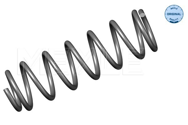 Coil Spring - 100 739 0011 MEYLE