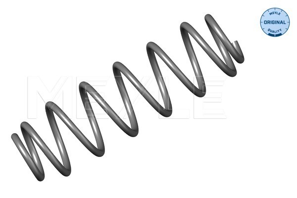 Coil Spring - 100 739 0013 MEYLE