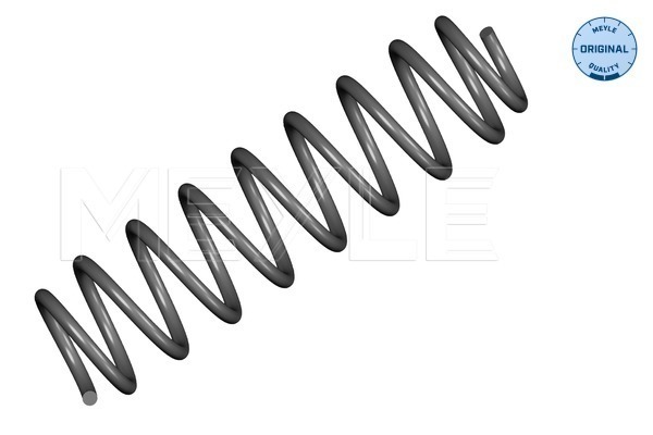 Molla autotelaio - 100 739 0021 MEYLE