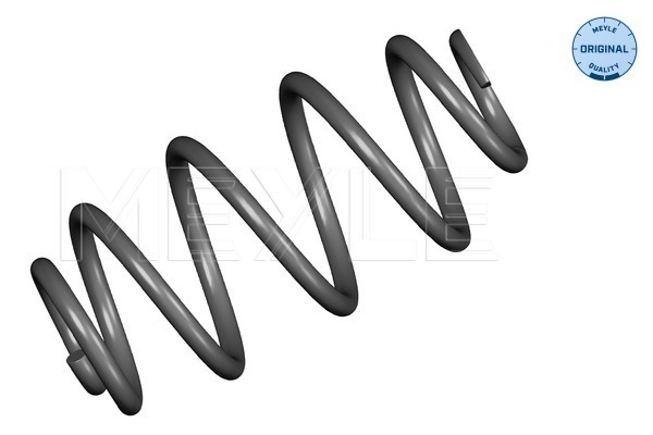 Coil Spring - 100 739 0029 MEYLE