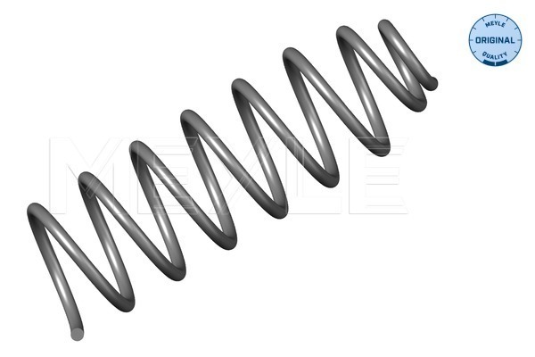 Coil Spring - 100 739 0030 MEYLE