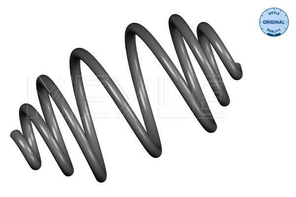 Coil Spring - 100 739 0031 MEYLE