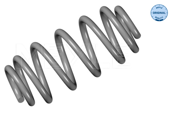 Coil Spring - 100 739 0040 MEYLE