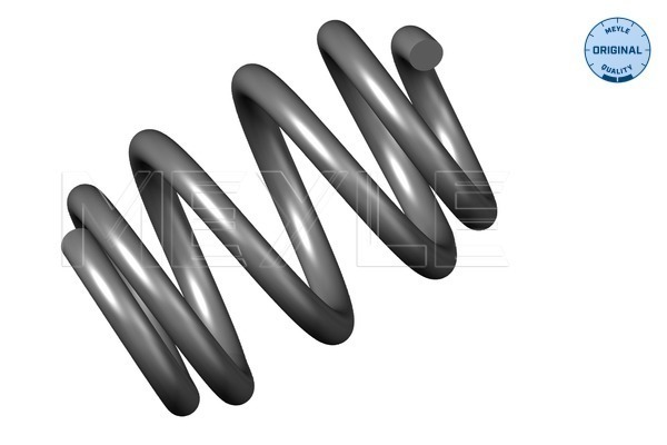 Coil Spring - 100 739 0043 MEYLE