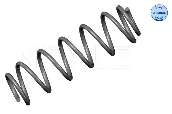 Coil Spring - 100 739 0049 MEYLE